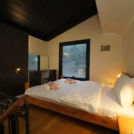 Cragus Fethiye Lodge *