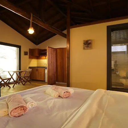 Cragus Fethiye אכסניה Karaagac (Fethiye)