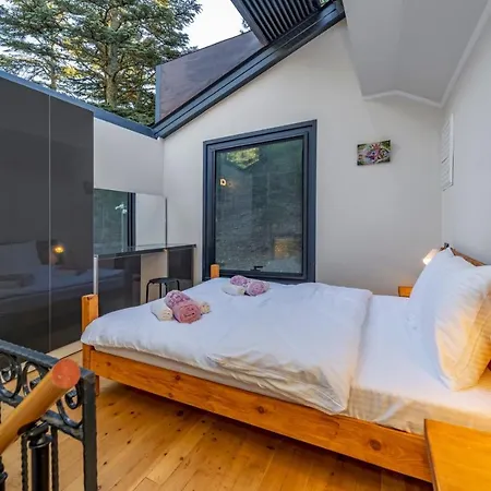 Lodge Cragus Fethiye Karaagac (Fethiye)